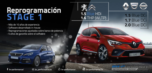 REPROGRAMACION BLUEDCI & BLUEHDI