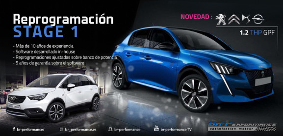 REPROGRAMACION 1.2 PURETECH (GPF)